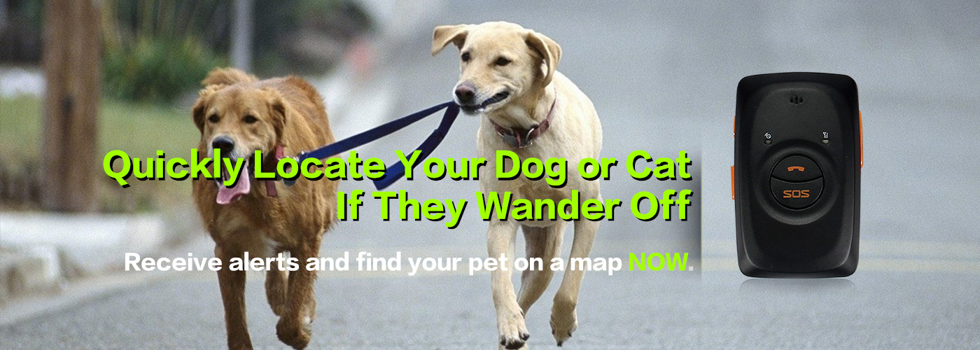 gps_tracker_for_pet